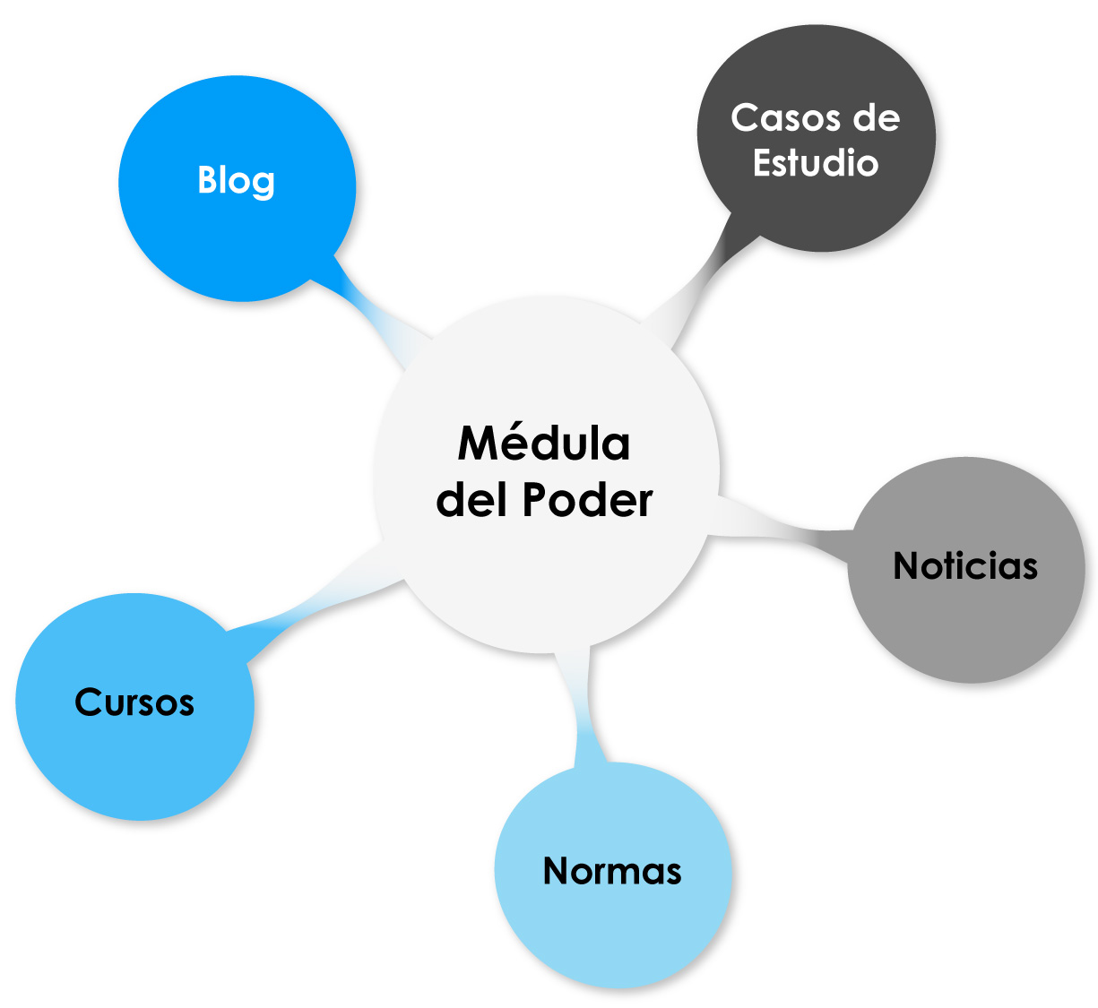 Médula del Poder – Centro de Conocimiento