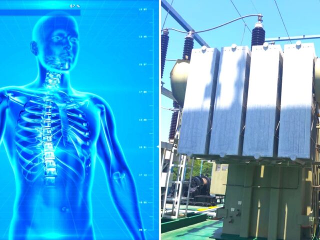 Analogía entre Transformador de Potencia y el Cuerpo Humano